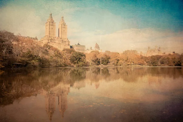 Central Park New York City Vintage Grungy Texture — Stock Photo, Image