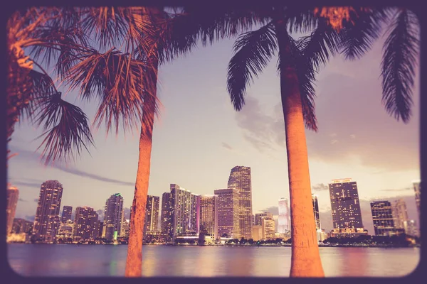 Beautiful Night Cityscape Miami Florida Skyline Palm Trees Vintage Film — Stock Photo, Image