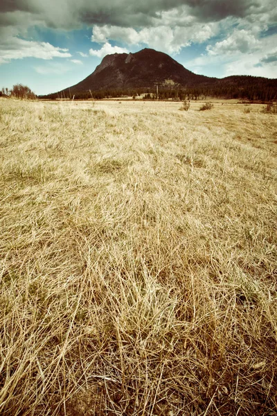 ロッキー山脈国立公園コロラド州の草が茂った草原の背景に山とを表示します 画像はビンテージ トーン フィルター — ストック写真