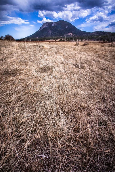 从科罗拉多落基山脉国家公园看在草甸背景下的山脉 — 图库照片