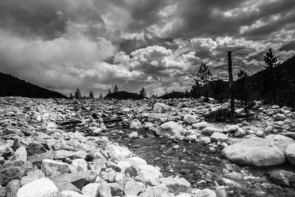 Black White View Rocky Mountain National Park Colorado Stream Rock — Stock Photo, Image