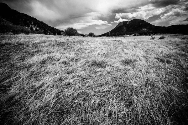 Black and white View from Rocky Mountain National Park in Colorado with mountains in the background of grassy meadow.