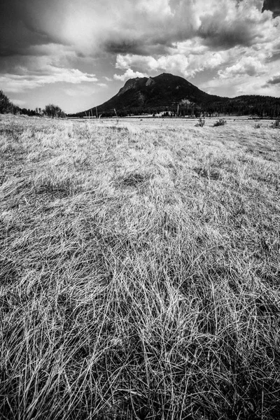 Black and white View from Rocky Mountain National Park in Colorado with mountains in the background of grassy meadow.