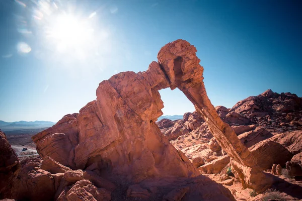 Formación Elephant Rock Parque Estatal Valley Fire Nevada —  Fotos de Stock