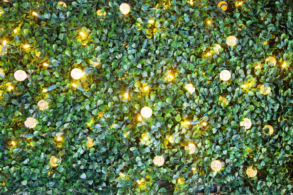 緑の葉と観賞用の休日の光とクリスマスの背景画像 コピースペースのための部屋 — ストック写真