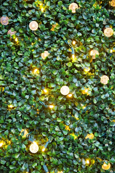Imagem Fundo Natal Com Folhas Verdes Luzes Ornamentais Férias Espaço — Fotografia de Stock