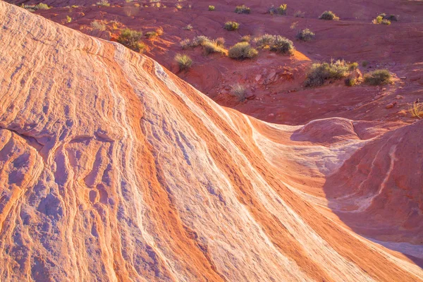 Piękne Geologiczne Formacje Skalne Parku Stanowego Dolina Ognia Nevadzie — Zdjęcie stockowe
