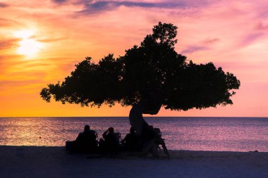 Sunset along Eagle Beach Aruba with colorful sky and Divi Divi Tree. clipart
