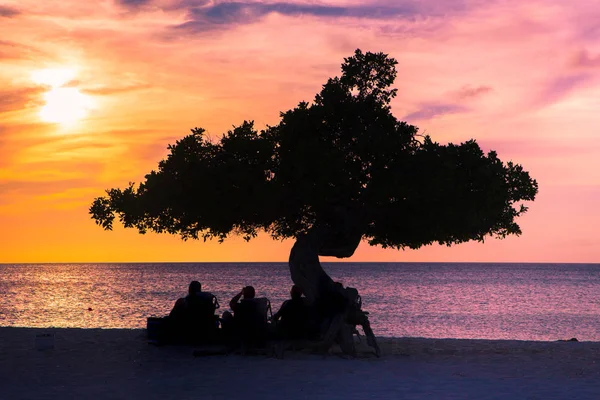 Solnedgång Längs Eagle Beach Aruba Med Färgglad Himmel Och Divi — Stockfoto