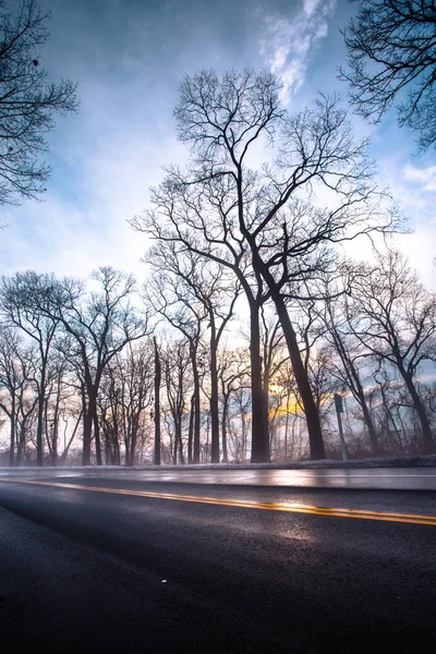 Natte Winterweg Mistige Ochtend Met Gele Scheidslijn Kale Bomen — Stockfoto