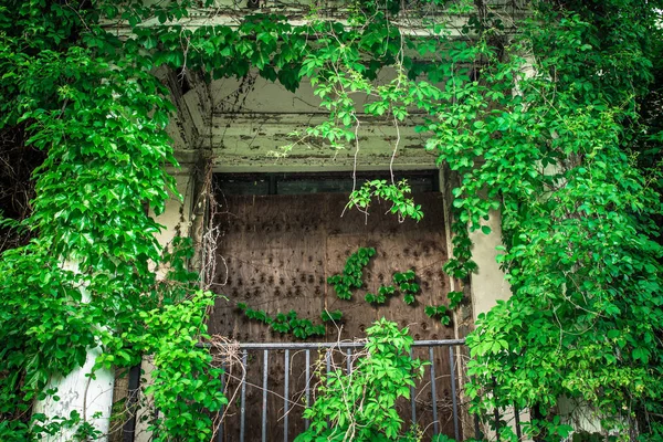 乗り込みドアで放棄された建物が生い茂る — ストック写真