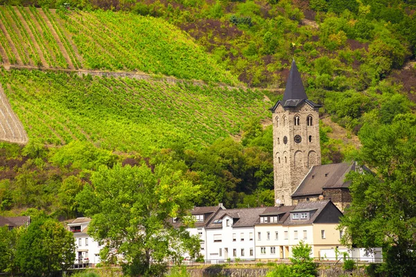 Widok Wiejską Architekturę Sankt Goar Niemcy Widziany Renu — Zdjęcie stockowe
