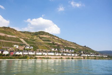 Beautiful German landscape with tiered vineyard and village seen from the middle Rhine River.