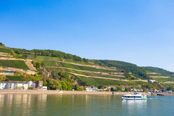 Beautiful Scenic German Landscape Village Tiered Vineyard Rhine River River — 스톡 사진