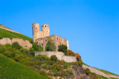 Ehrenfels Şatosu Almanya 'da Ren Nehri boyunca