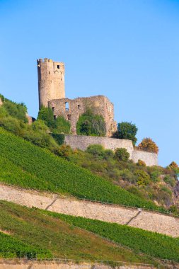 Ehrenfels Şatosu Almanya 'da Ren Nehri boyunca