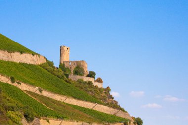 Ehrenfels Şatosu Almanya 'da Ren Nehri boyunca