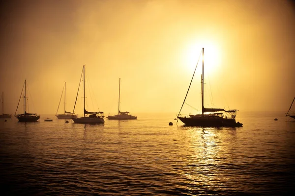 Barche Vela Sulla Nebbiosa Baia San Diego Mattino — Foto Stock