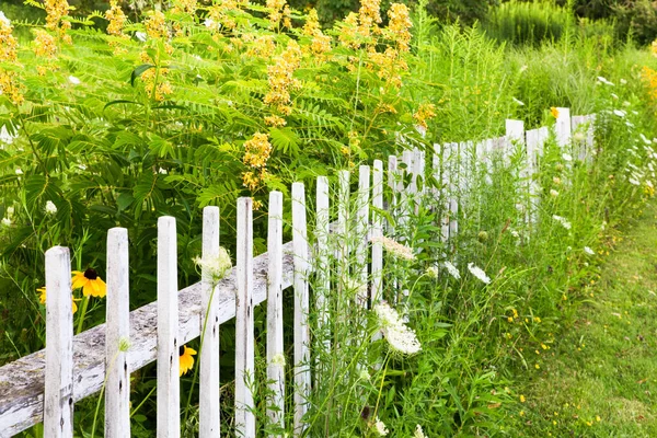 花に囲まれたきれいな国の白いピケットフェンス — ストック写真