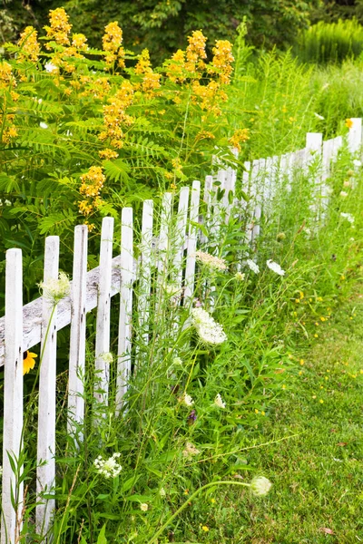 Pretty Country White Picket Fence Surrounded Flowers — Stock Photo, Image