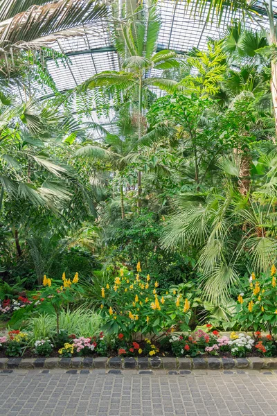 Piękny tropikalny wystawa w Palmengarten w Frankfurt. — Zdjęcie stockowe