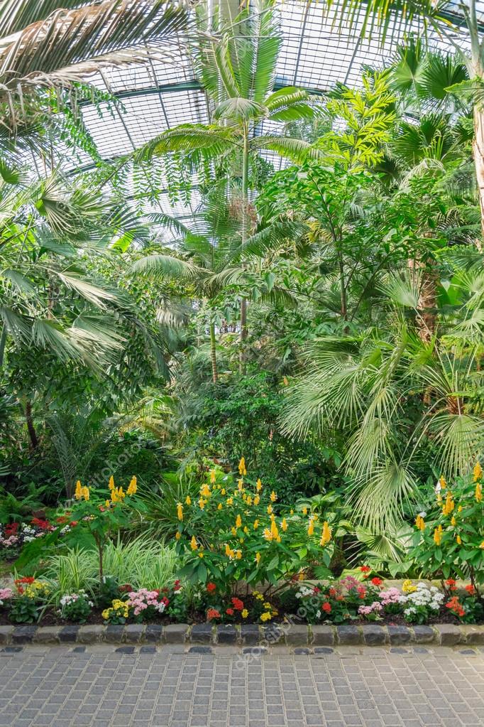 Beautiful Tropical Exhibition In Palmengarten In Frankfurt