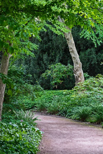 Une ruelle pittoresque dans le parc — Photo