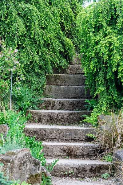 Escalier en pierre extérieur — Photo