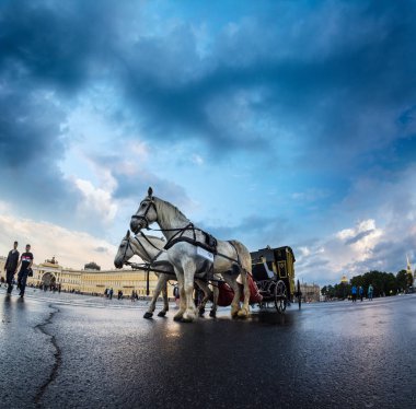 Koç için Palace Square, St. Petersburg, Russ yürür