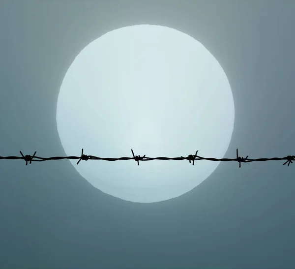 Barbed wire on sun — Stock Photo, Image