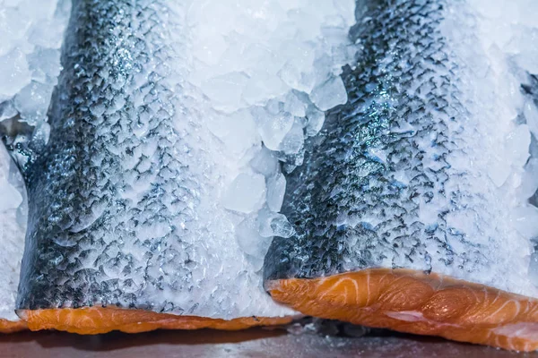 冰红色鱼冷冻 — 图库照片