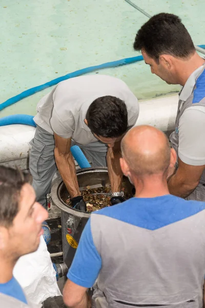 Moedas em fontana di trevi, uma famosa tradição de turista em Rom — Fotografia de Stock