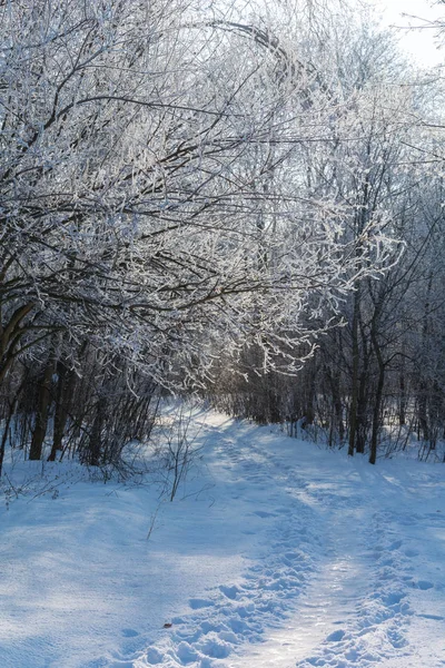 Paesaggio di racconto dell'inverno — Foto Stock