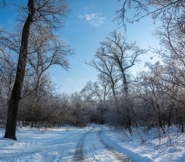 Historia del invierno —  Fotos de Stock