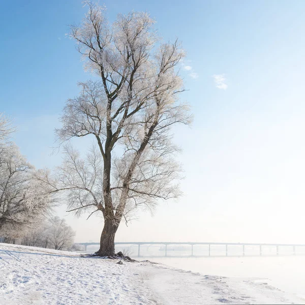 Paisaje de cuento de invierno — Foto de Stock