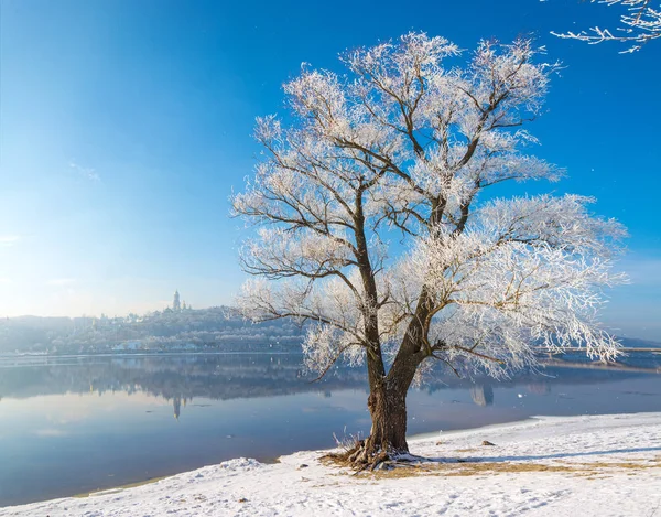 Winter's tale landscape — Stockfoto