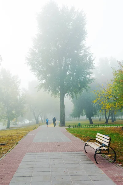 Park alley in the fog — Stock Photo, Image