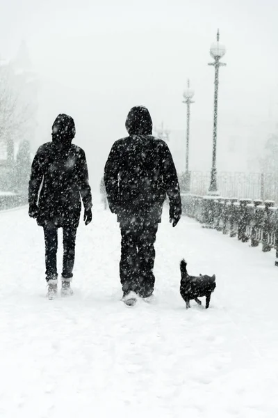 Familjen går igenom en snöstorm — Stockfoto