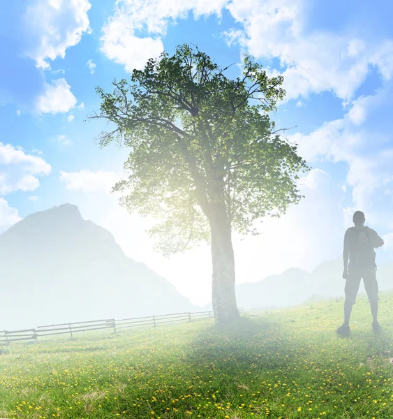 Silhouette di turista e un bellissimo paesaggio — Foto Stock