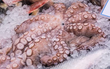 ahtapot buzdaki tezgahın üstünde