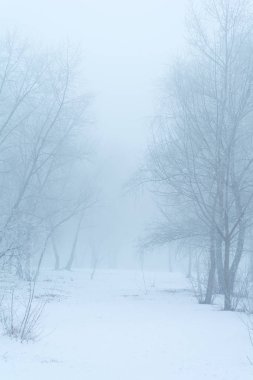 Kış manzarası, dondaki ağaçlar