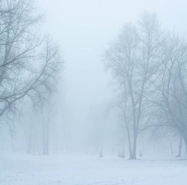 Kış manzarası, dondaki ağaçlar