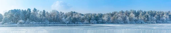 Paesaggio Invernale Alberi Nel Gelo Immagine Composta Molte Foto — Foto Stock