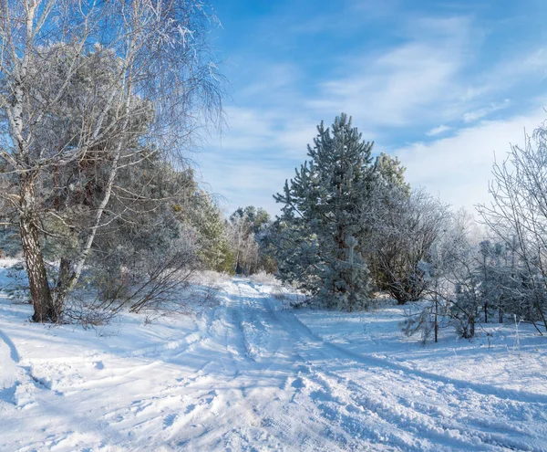 Winter Landscape Trees Frost Image Made Many Photos Car Trail — Stock Photo, Image