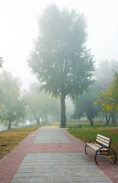 Park Alley Fog Autumn — Stock Photo, Image