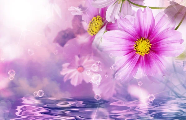 Krásné květinové pozadí. Příroda plakát — Stock fotografie