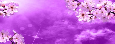 Flower.Spring.Nature.Easter.Floral arka plan