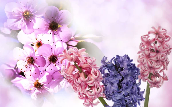 Flower.spring.easter.nature.floraler Hintergrund — Stockfoto