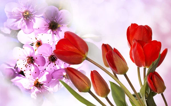 Flower.Spring.Nature.Easter.Floral bakgrund — Stockfoto