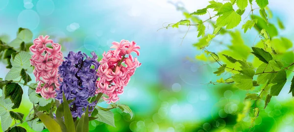 Easter.spring.holiday.bouquet flowers — Stock Photo, Image